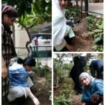 PLANTATION DAY