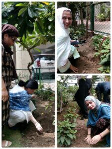 PLANTATION DAY